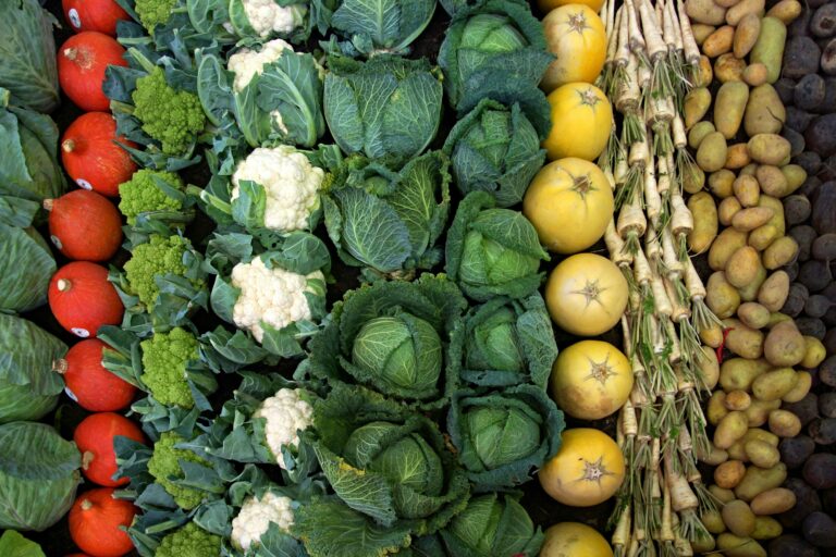 A colorful collection of fresh organic vegetables including cabbage, cauliflower, potatoes, and radishes.